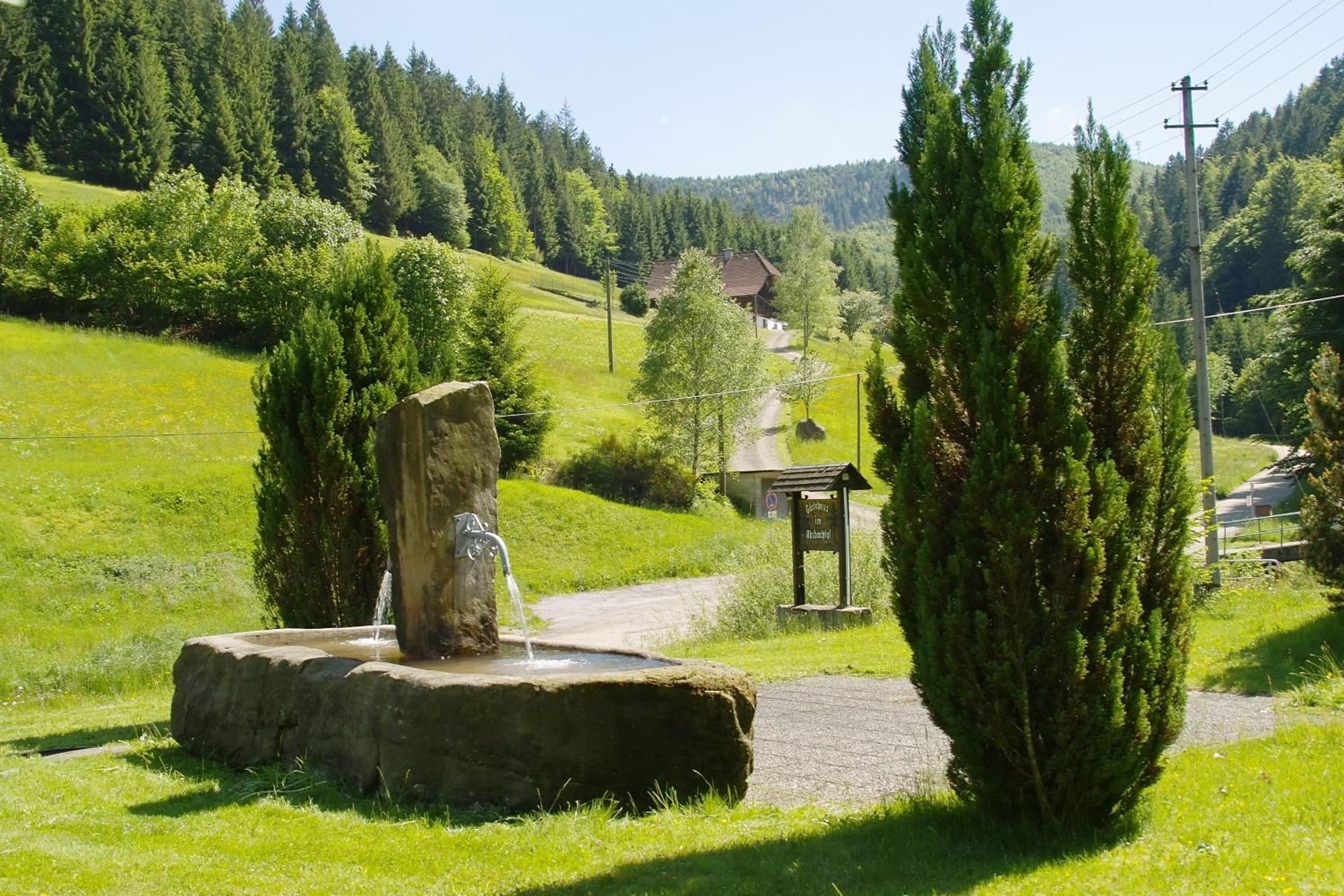 Gaestehaus Absbachtal Bad Rippoldsau-Schapbach Exterior foto